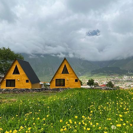 Pine Chalet Kazbegi Exterior photo
