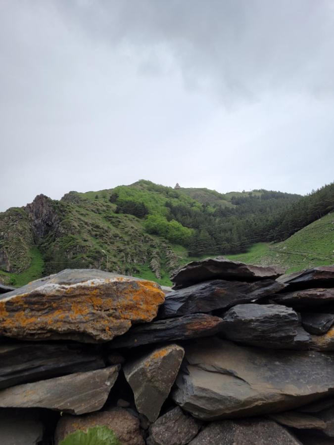 Pine Chalet Kazbegi Exterior photo