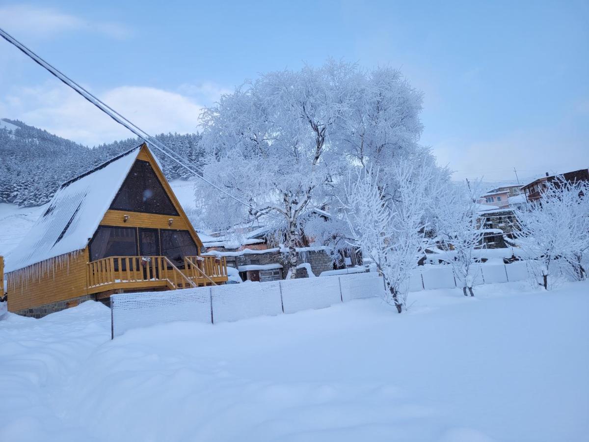 Pine Chalet Kazbegi Exterior photo