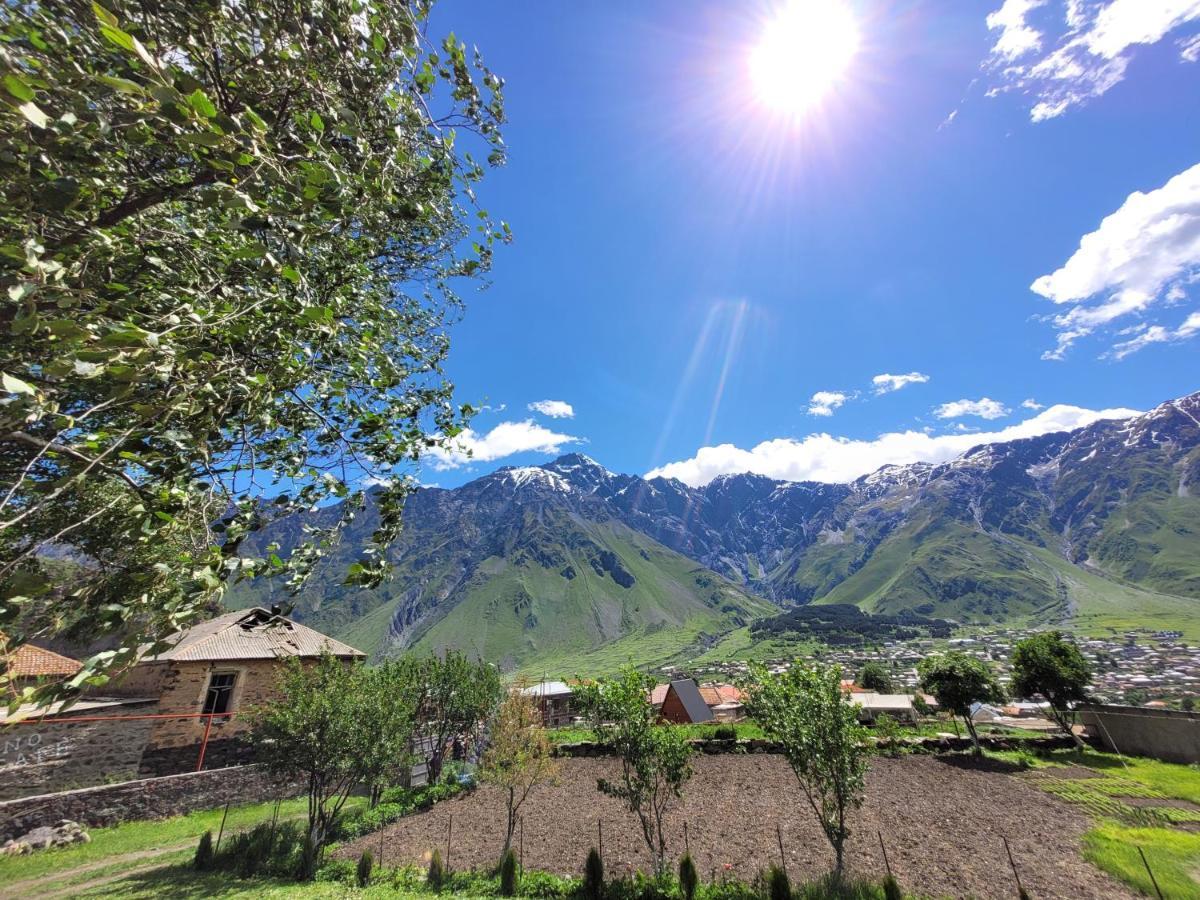 Pine Chalet Kazbegi Exterior photo