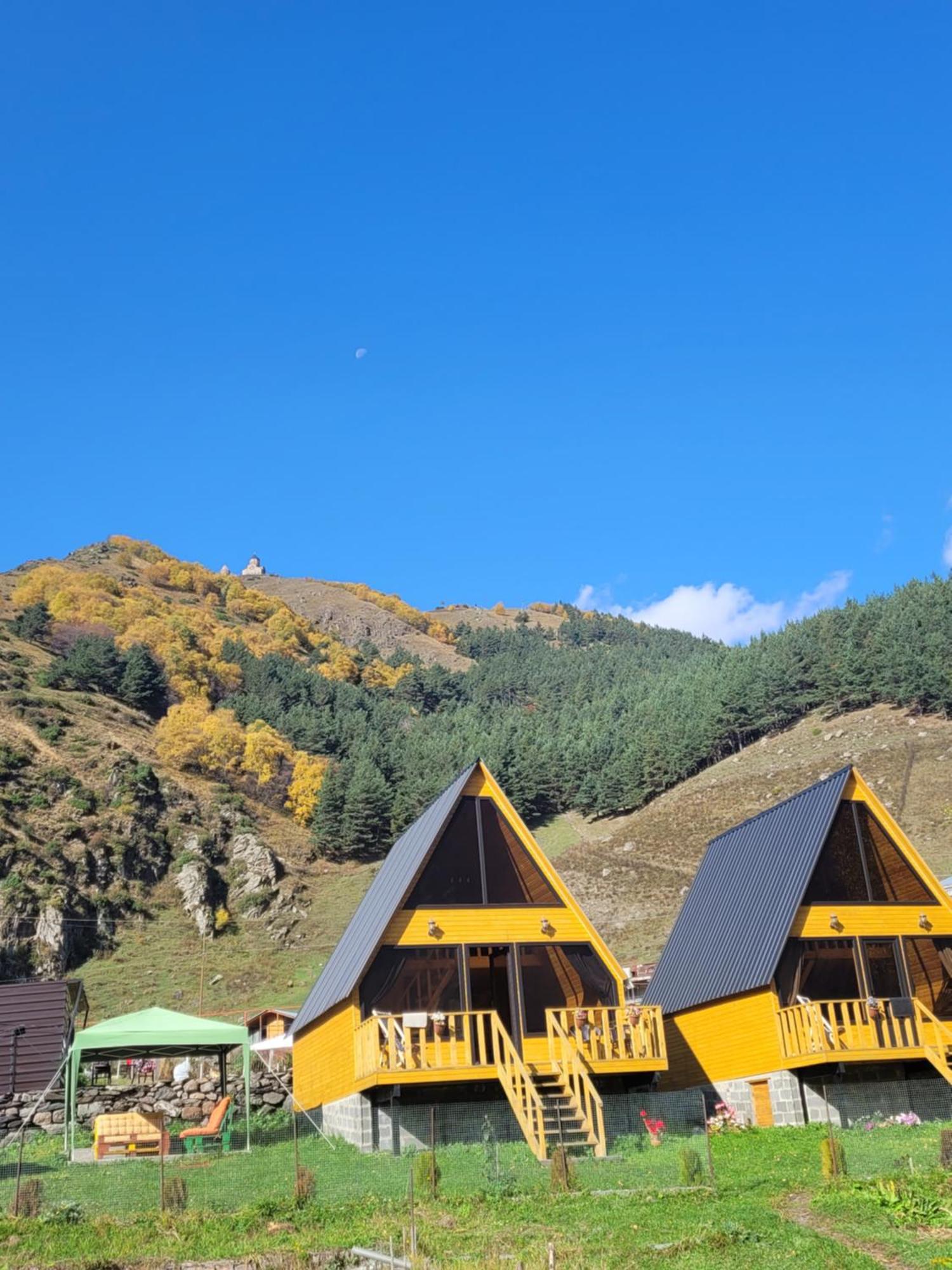 Pine Chalet Kazbegi Exterior photo