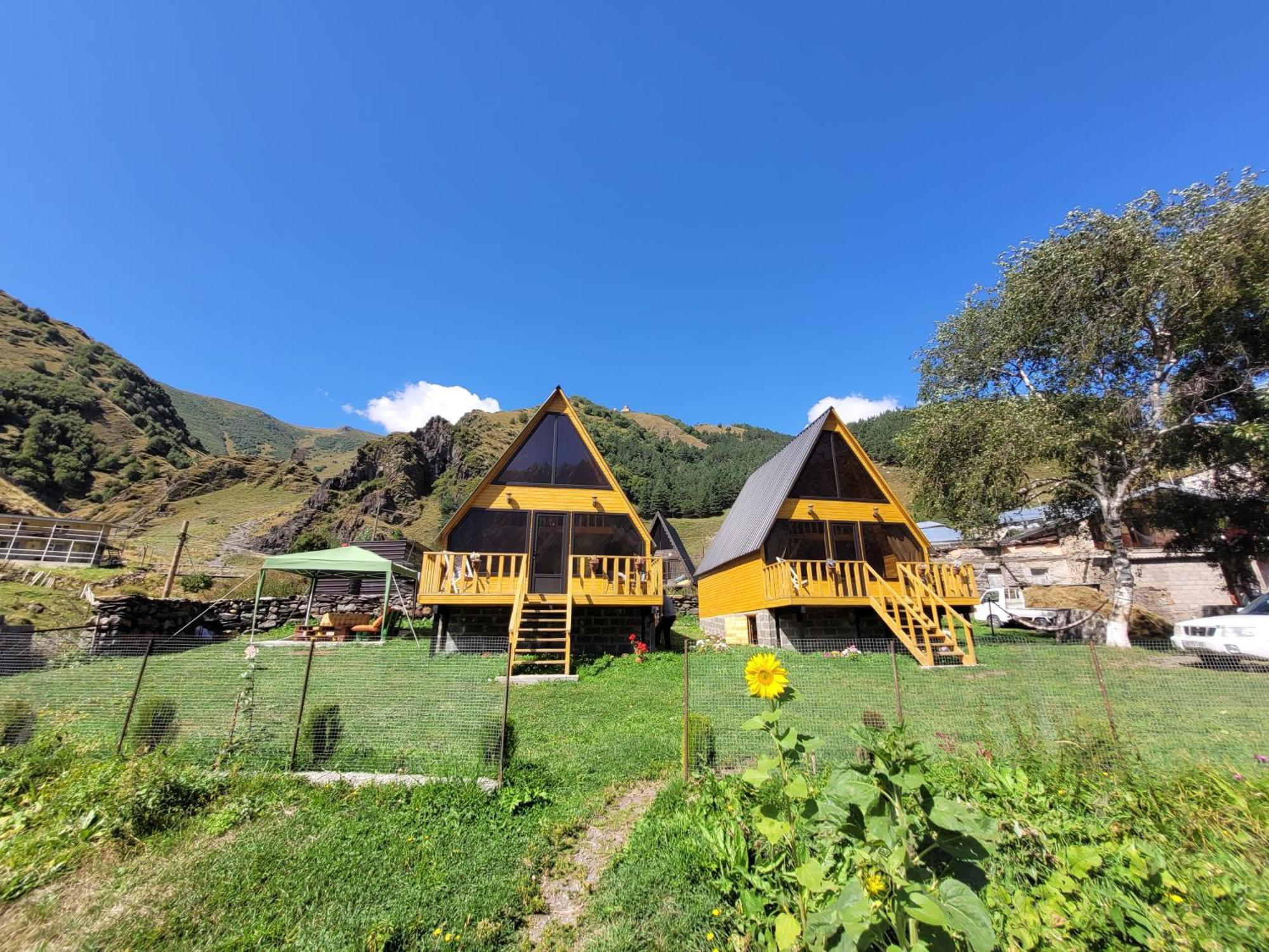 Pine Chalet Kazbegi Exterior photo